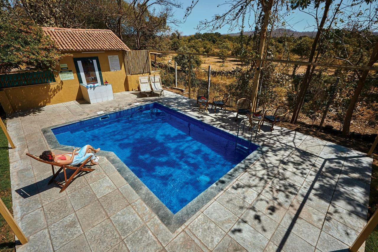 Asiatic Lion Lodge Sasan Gir Exterior foto